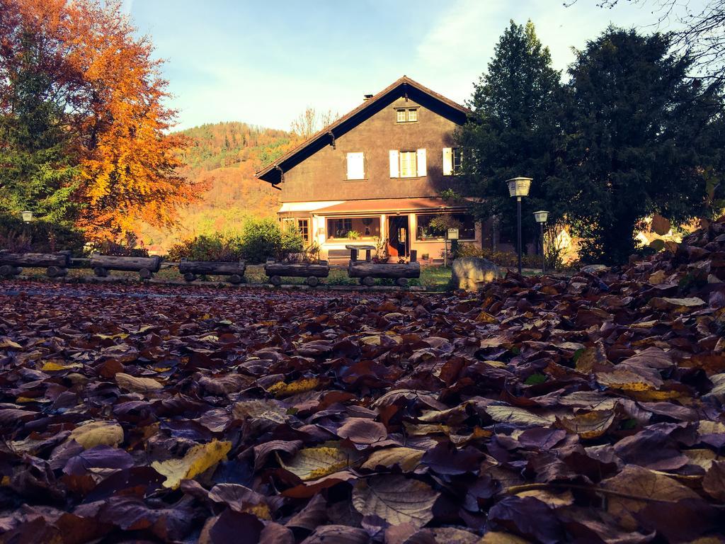 Le Chalet Luttenbach-pres-Munster Bagian luar foto