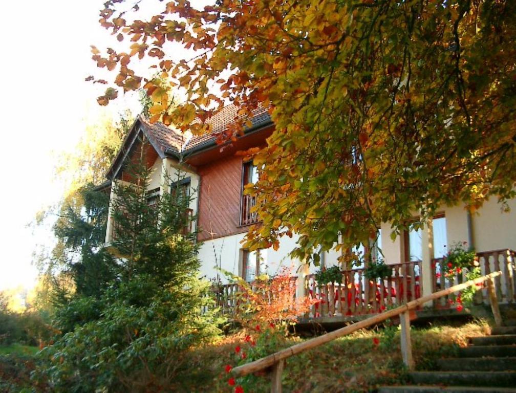 Le Chalet Luttenbach-pres-Munster Bagian luar foto