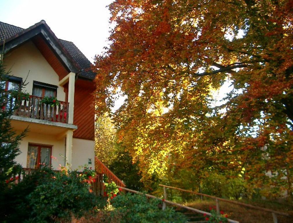 Le Chalet Luttenbach-pres-Munster Bagian luar foto
