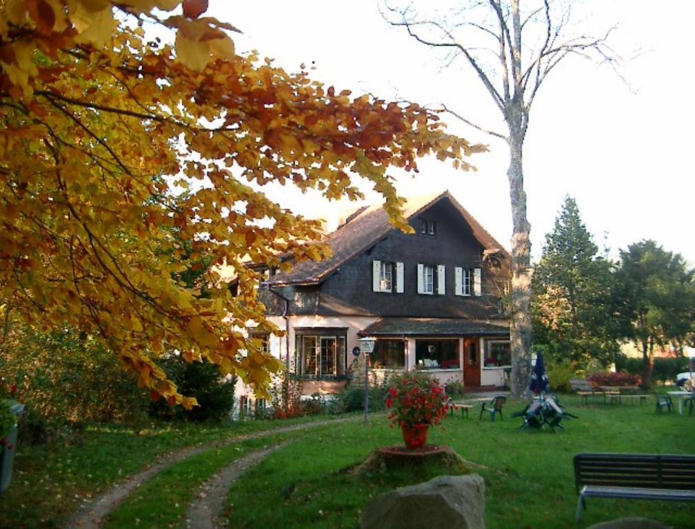 Le Chalet Luttenbach-pres-Munster Bagian luar foto