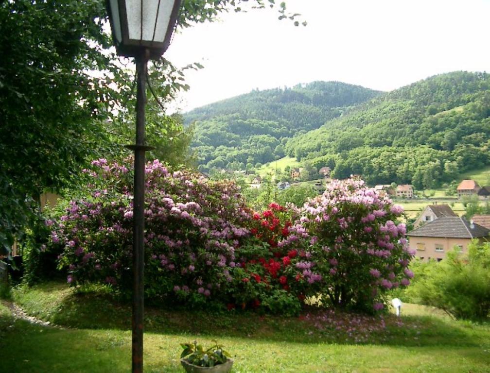Le Chalet Luttenbach-pres-Munster Bagian luar foto
